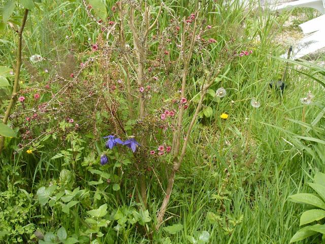le matin du jour du lendemain