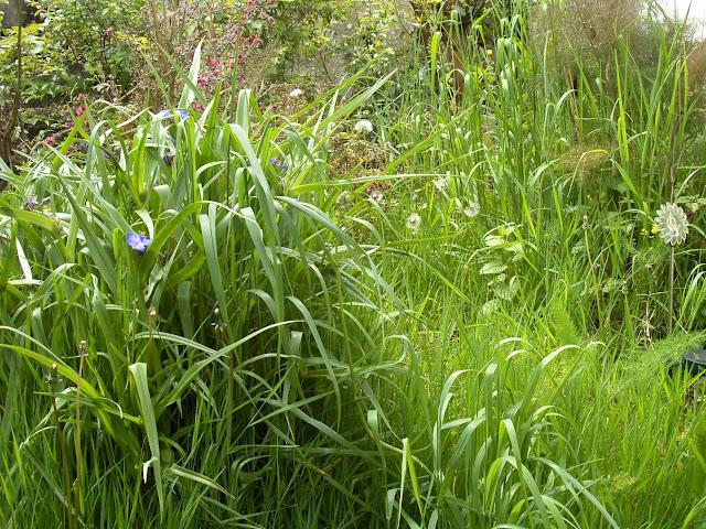 le matin du jour du lendemain