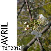 TDF AVRIL 2012