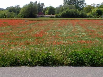 Week-end en Provence