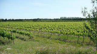 Une Ascension comme les autres au bord du Rhône