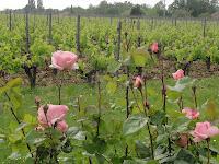 Les vents de l'Ascension