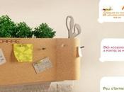 micro jardin plein Tuileries