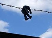 Cement Eclipses Sculptures