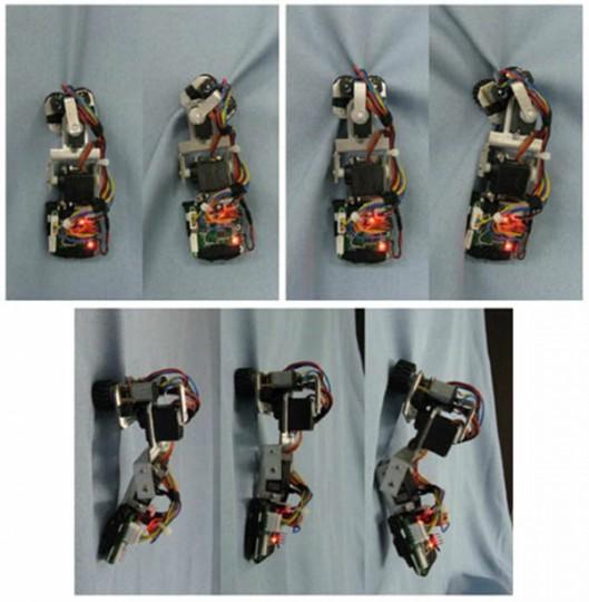 clothbot 529x540 Clothbot : un robot qui vous grimpe dessus