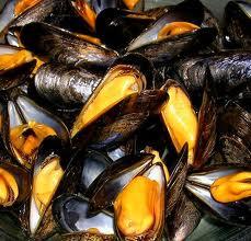 MOULES MARINIERES AU THERMOMIX