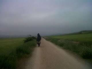 Terdav Trail World Tour, Saint-Jacques, 25e étape en images.