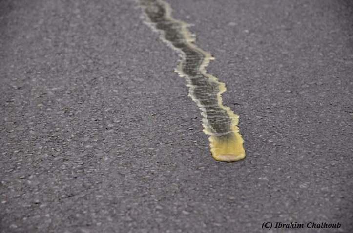 Rivière jaune? Photo (C) Ibrahim Chalhoub