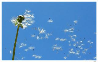 Etre dans l'air avec Roger-Pol Droit