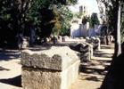 Allée des sarcophages et église Saint-Honorat © Ville d’Arles