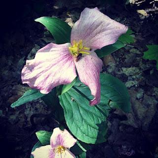 Un samedi pas comme les autres