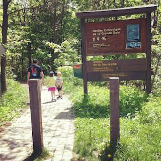 Un samedi pas comme les autres