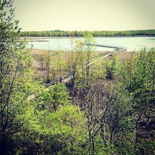 Un samedi pas comme les autres