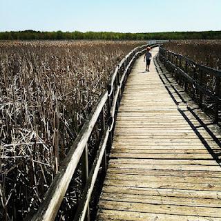 Un samedi pas comme les autres