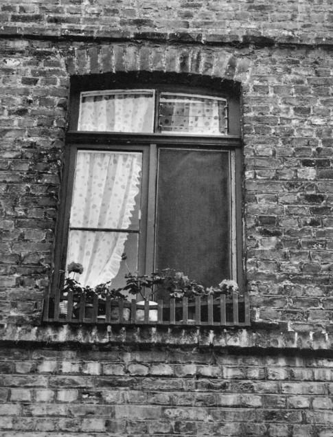 maisons ouvrieres vauban esquermes