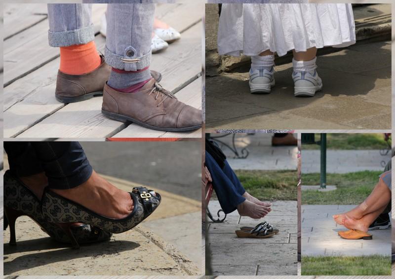 L'OEIL DE LA  PUNAISE