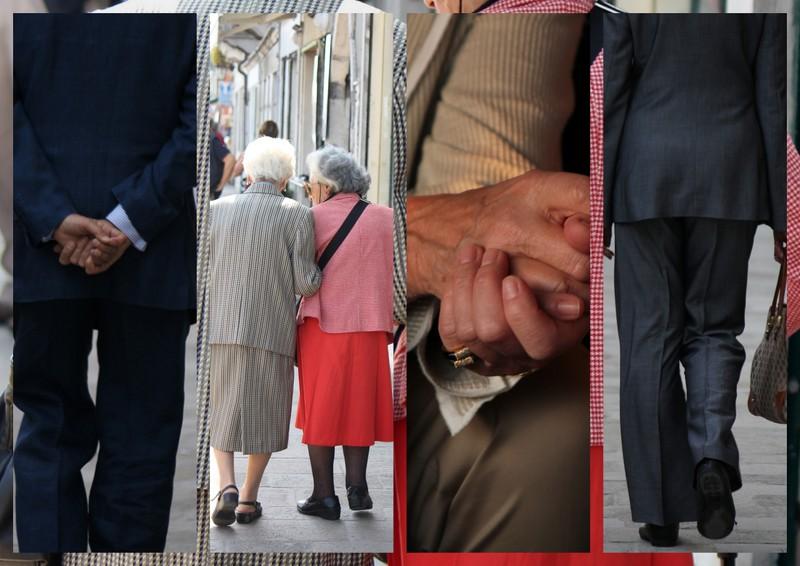 L'OEIL DE LA  PUNAISE