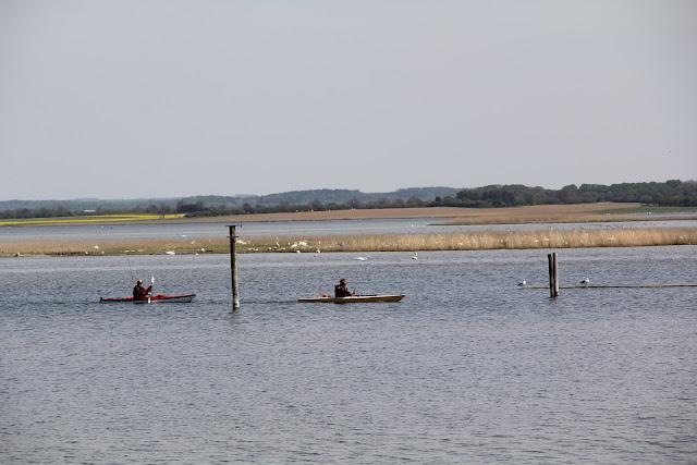 Pour finir ce long week end ... des photos