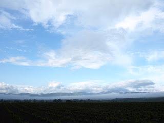 Terdav Trail World Tour, Saint Jacques en images: entre Rioja et Castille