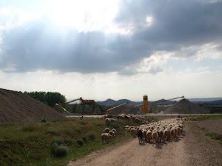 Terdav Trail World Tour, Saint Jacques en images: entre Rioja et Castille