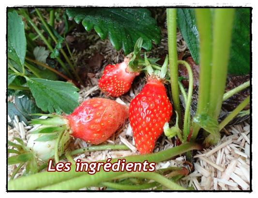 Tarte aux fraises crème pâtissière
