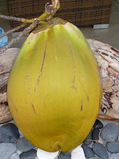 Poulet au Lait de Coco, Fruit à Pain & Pommes de Terre