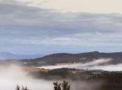 Tempus Fugit Time Flees