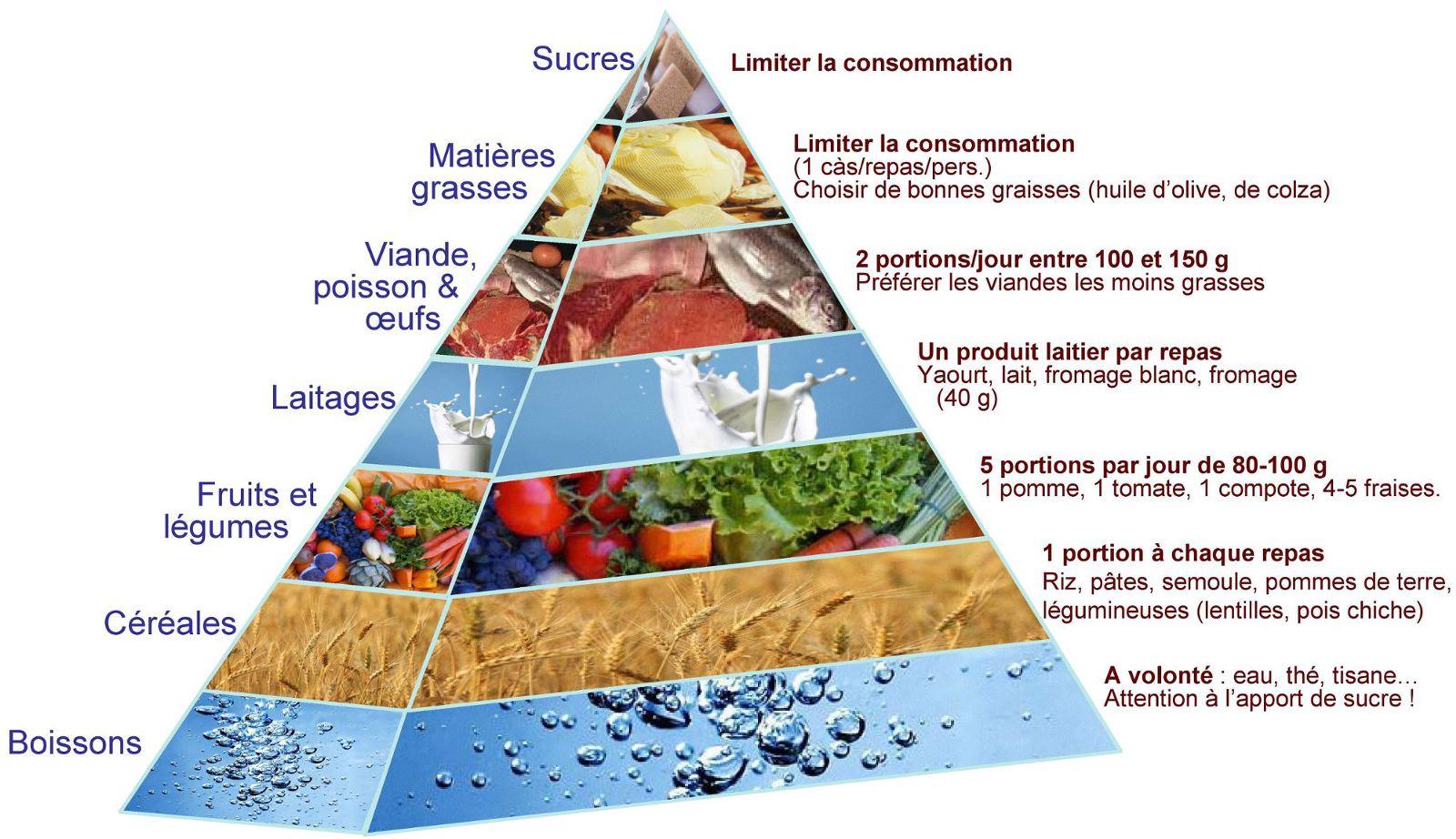 la pyramide alimentaire