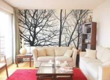 Quand la végétation s’invite dans votre salon !