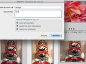 Astuce mots-clés internationaux sein Lightroom