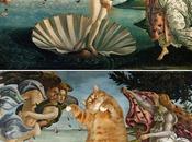 chats envahissent l’art
