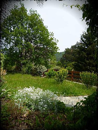 jardin.png