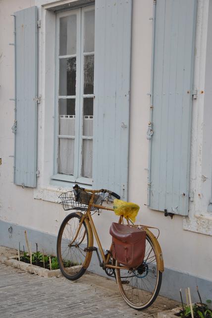 Image Hosted by ImageShack.us