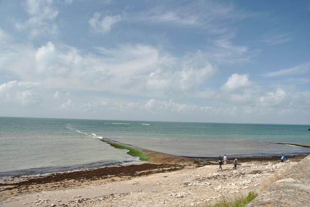 Image Hosted by ImageShack.us