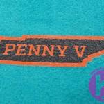 nike-air-penny-5-miami-dolphins-09-1