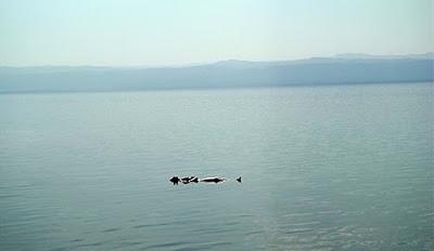 Moments de flottement