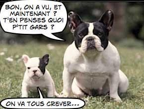 Plus proche des Français ?