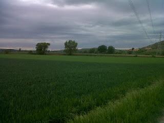 Terdav Trail World Tour, Saint-Jacques, 29e étape en images.