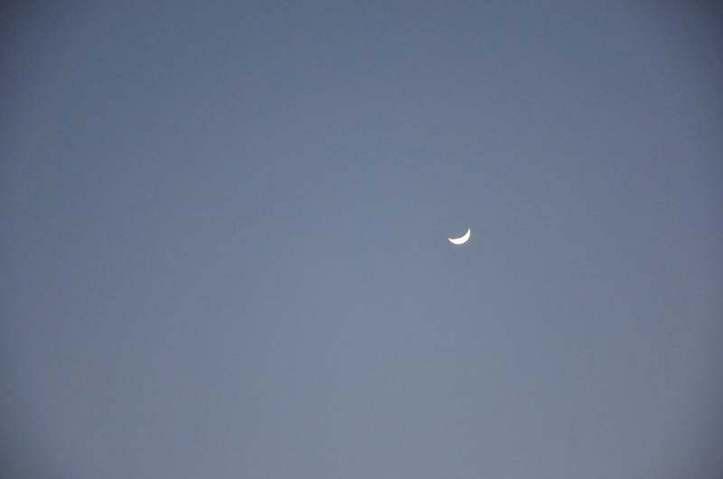 Qu’est-ce que vous voyez? Photo (C) Ibrahim Chalhoub