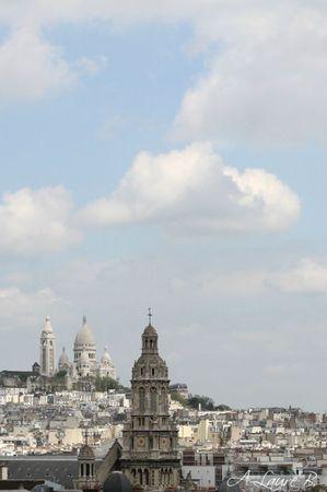 Moune Paris 027 copie