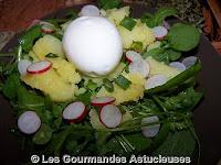 Salade de Mouron blanc