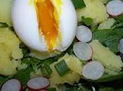 Salade Mouron blanc