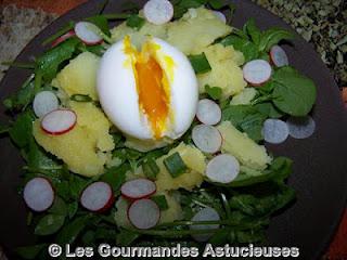 Salade de Mouron blanc
