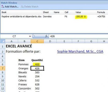 EXCEL: UTILISEZ-VOUS LA FENÊTRE ESPION?