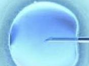 FIV: Vers relèvement l’âge l’accès couples homosexuels Royaume-Uni NICE