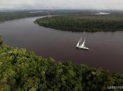 [Mondialisation Biodiversité] Nouveau code forestier pour l’Amazonie reste jours veto Déforestation