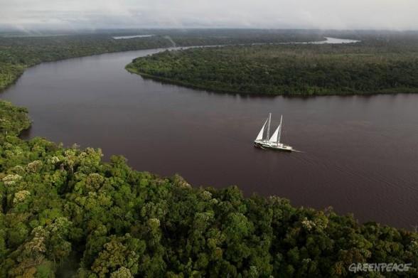 [Mondialisation - Biodiversité] Nouveau code forestier pour l’Amazonie : il ne reste que 4 jours pour le veto ! – Déforestation