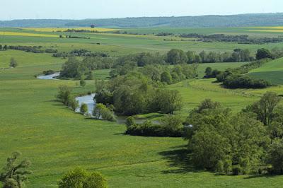 Coq et clocher : Ailly-sur-Meuse (55)