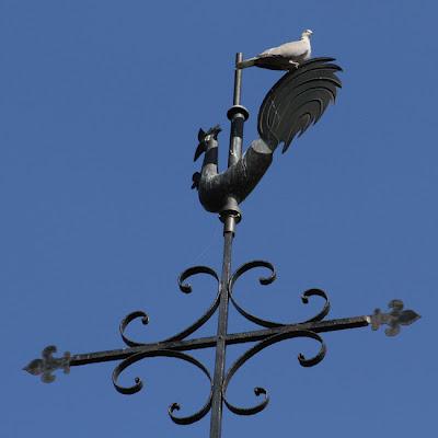 Coq et clocher : Ailly-sur-Meuse (55)