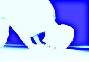 prosternation Et c’est ainsi qu’Hollande est grand. Gloire au Ayrault.